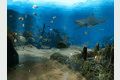 OceanDive