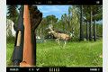 Deer Drive