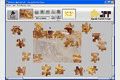 Jigsaw Puzzle Player