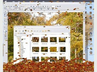 Farbenfrohe Herbstbl�tter fallen in diesem Screensaver auf Ihren Desktop