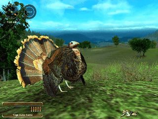 Virtuelle Jagd-Simulation mit realistischer Grafik.