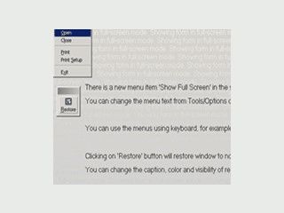 Fullscreen Funktionalit�t ohne Programmieraufwand f�r VB Programme