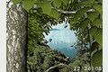 Forest World 3D Screensaver 1.0