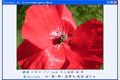 Photo Toolkit 1.7