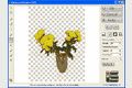 Background Remover 3.2