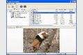 Easy File Undelete 2.5