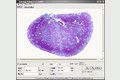 GSA Image Analyser 3.7.7