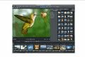 MAGIX Fotos auf DVD deluxe 10