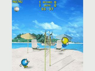 Beach Volleyballey fr den Palm