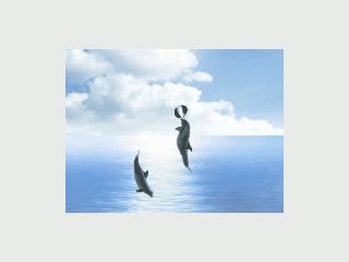 Schn animierter Screensaver mit Delphinen die im Wasser spielen