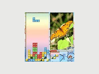 Eine Tetris Variante fr Pocket PCs mit Bildern von Schmetterlingen