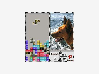 Tetris Variante in der Sie Hundebilder freispielen