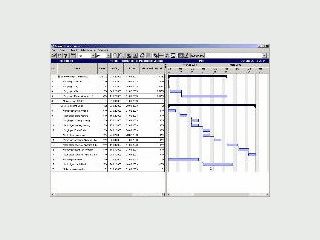 Viewer fr MS Project und SAP PS Dateien