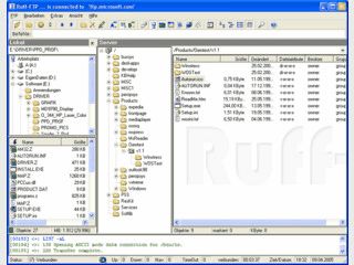 Umfangreicher und schneller FTP-Client mit Baumstruktur