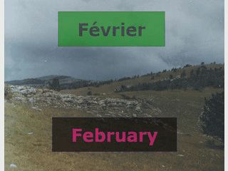 Bildschirmschoner als Vokabel-Lernprogramm