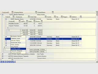 Sehr umfangreiche Tabellenfunktionen fr MS Visual Studio und Borland Delphi