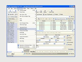 Sehr umfangreicher WMA und MP3 Tag Editor und Playlist-Generator.