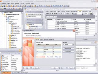 Grafisches Frontend fr die Verwaltung von MS SQL Server und Datenbanken