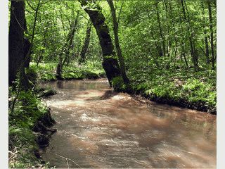 Ein endloses HD Video von einer Flusslandschaft.