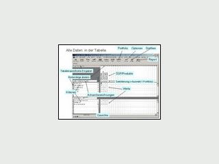 Software zur Analyse und Darstellung von Geschftseinheiten, Produktgruppen usw.