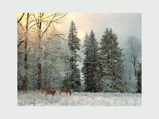 Animierte Schneelandschaften als Bildschirmschoner.