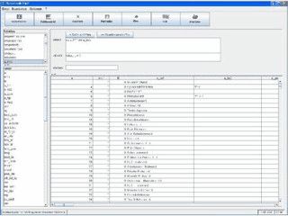 Datenbankmanager fr Datenbanken mit grafischer Oberflche