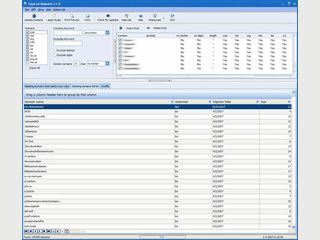 Software um wieder frei werdende Domains zu finden.