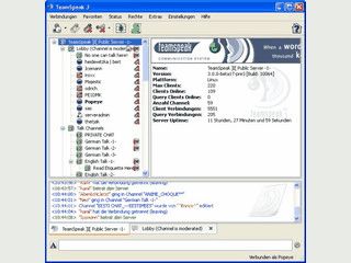 Teamspeak Voice over IP Client der oft in Onlinespielen verwendet wird.