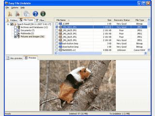 bersichtliche Software zur Wiederherstellung gelschter Dateien.