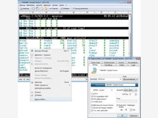 Komfortabler Telnet Client fr Intranet und Internet.