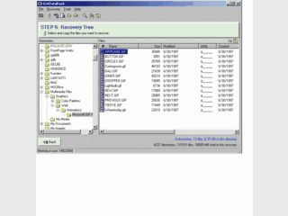 Software zur Datenrettung von FAT Dateisystemen