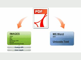 .Net Komponente um PDF Dateien in das Word Format zu konvertieren.