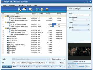 Es ist eine mehrfunktionale Video zu Audio Converter Software