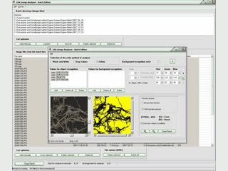Programm zur automatischen Bildanalyse wie etwa der Objektzhluung.
