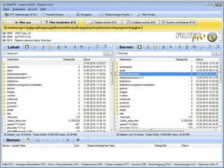 FTP-Client mit Filterfunktionen fr die Dateiauswahl.