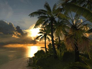 Ein karibischer Strand mit Palmensilouetten beim Sonnenuntergang.