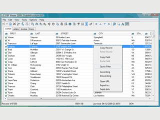 DBF Viewer 2000 ist ein Tool fr die Ansicht und Bearbeitung von DBF Dateien