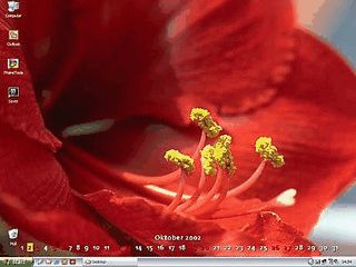 Desktopkalender und Bildschirmschoner mit Blumenmotiven