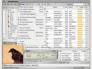All-In-One Jukebox und Verwaltung mit CD Ripper und TAG Editor.